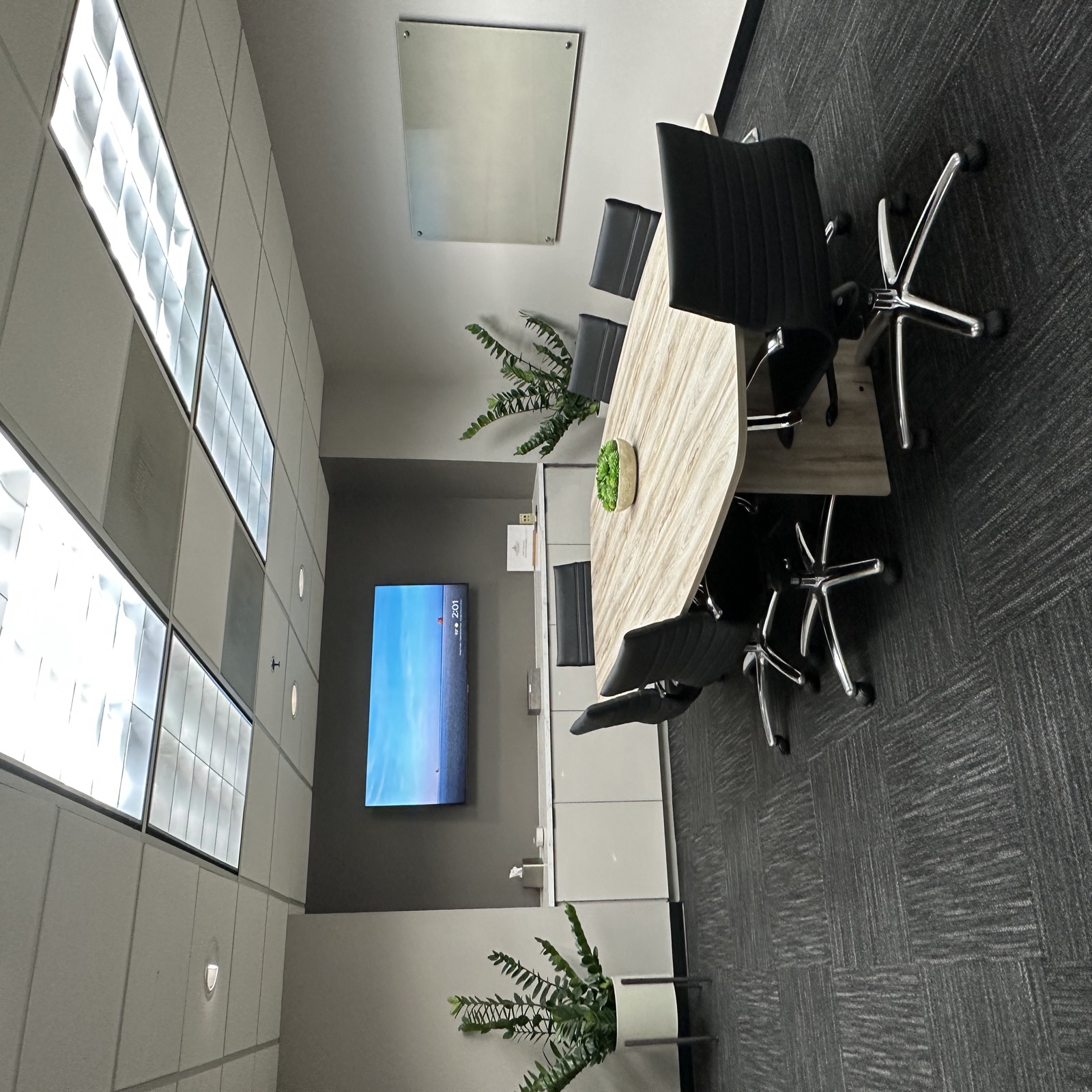 Duluth conference room