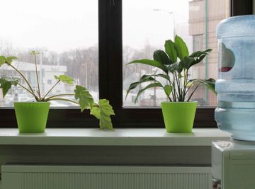 Office Amenities and Productivity